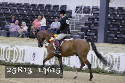 25R13_14615 thumbnail