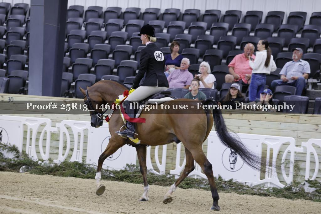 Proof Number 25R13_14616