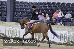 25R13_14616 thumbnail