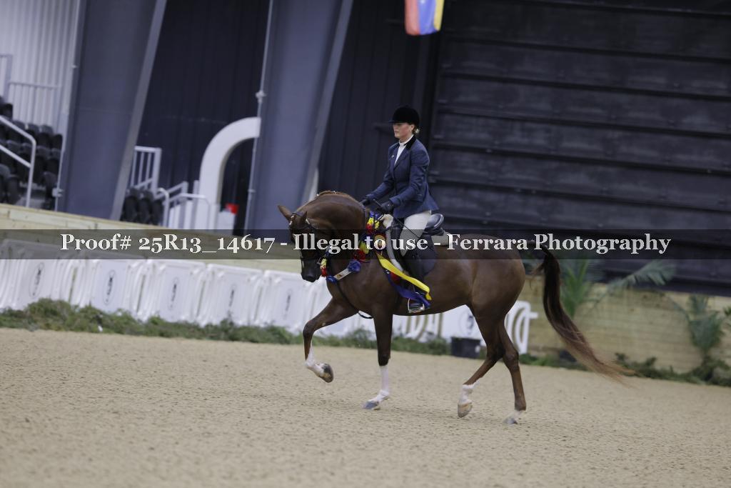 Proof Number 25R13_14617