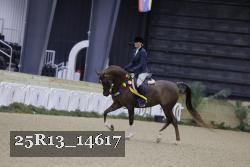 25R13_14617 thumbnail
