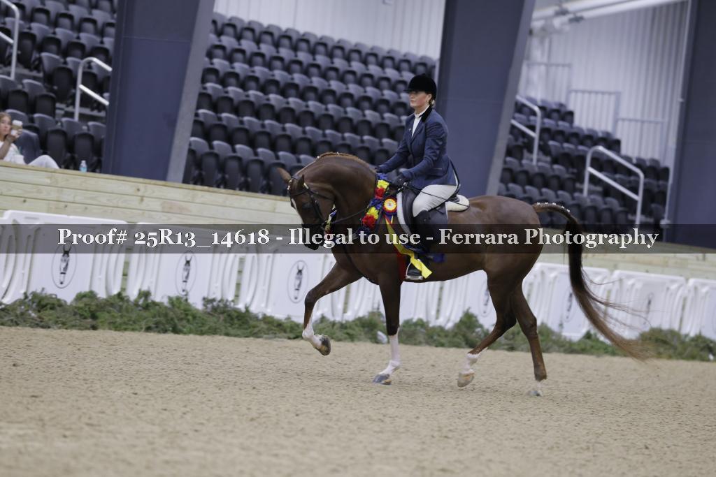 Proof Number 25R13_14618