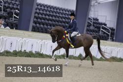 25R13_14618 thumbnail