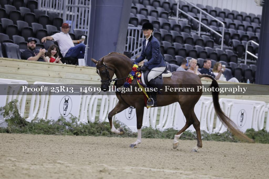 Proof Number 25R13_14619