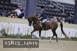 25R13_14619 thumbnail