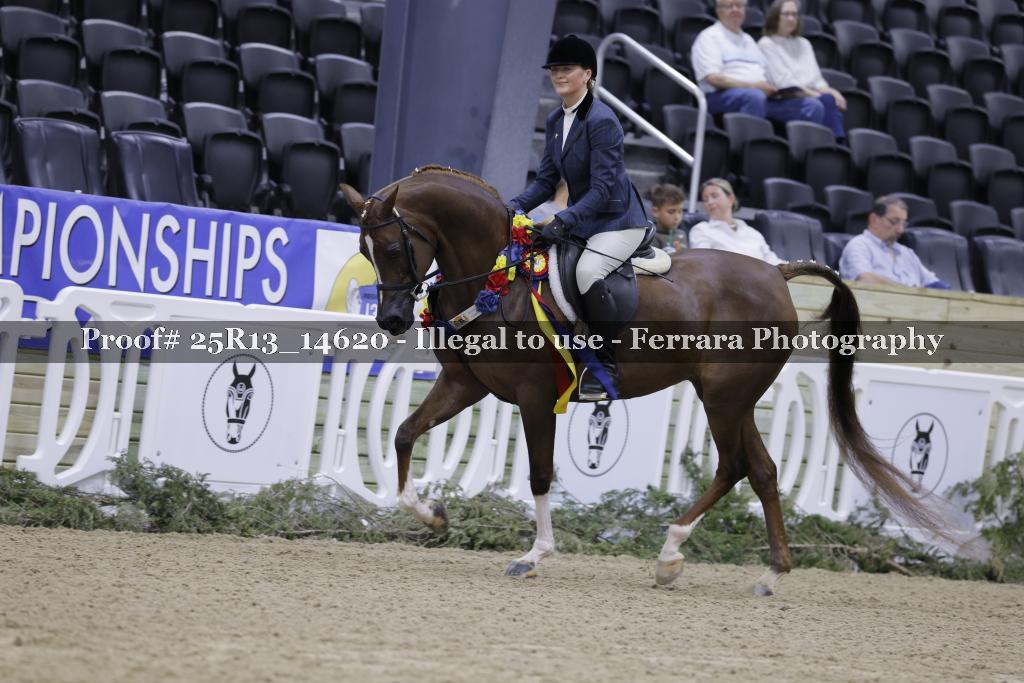Proof Number 25R13_14620
