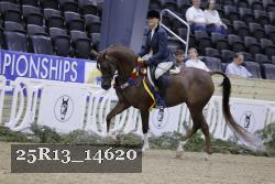 25R13_14620 thumbnail