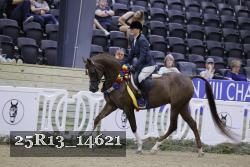25R13_14621 thumbnail