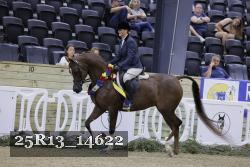 25R13_14622 thumbnail