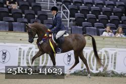 25R13_14623 thumbnail