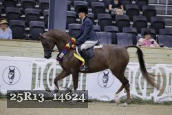 25R13_14624 thumbnail
