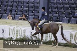 25R13_14625 thumbnail