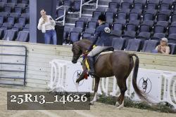 25R13_14626 thumbnail