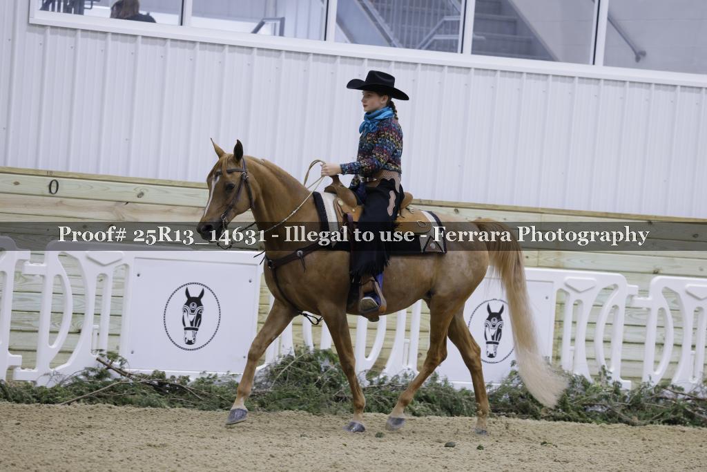 Proof Number 25R13_14631