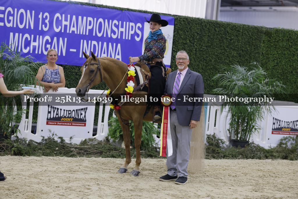 Proof Number 25R13_14639