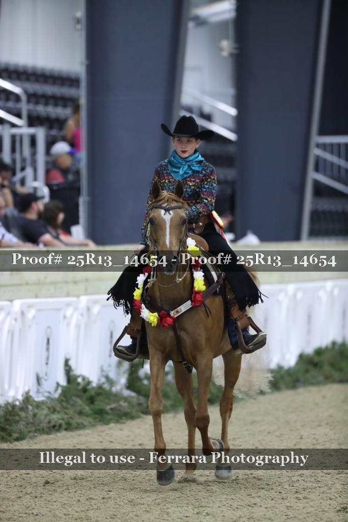 Proof Number 25R13_14654
