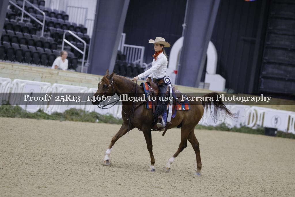 Proof Number 25R13_14667