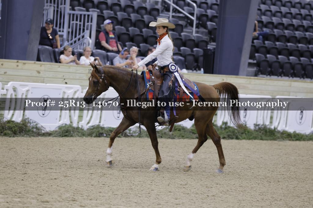 Proof Number 25R13_14670