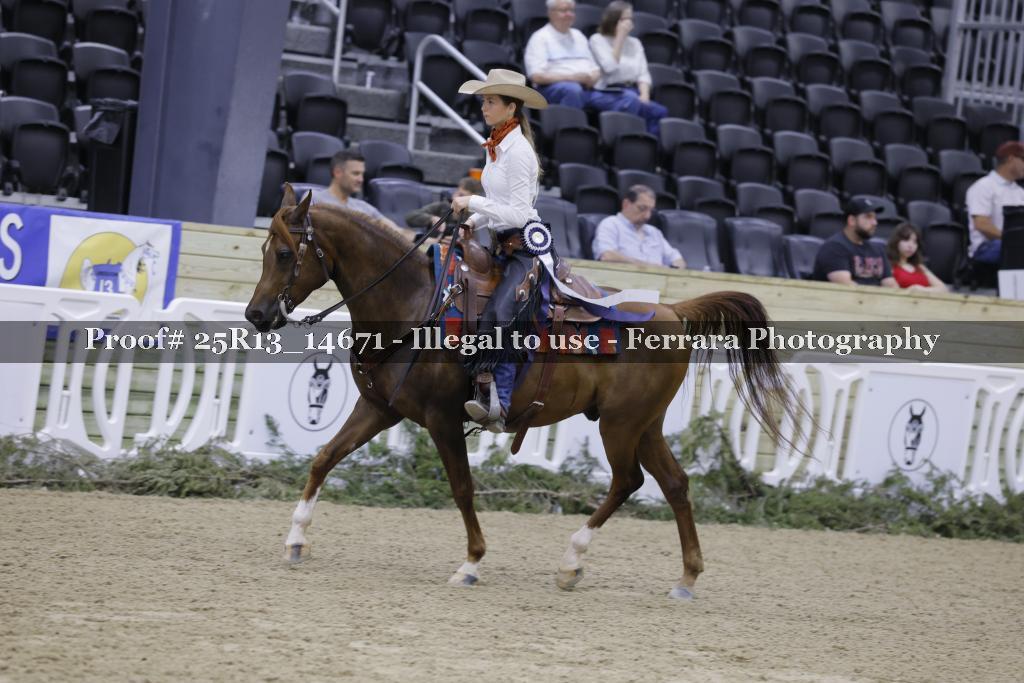 Proof Number 25R13_14671