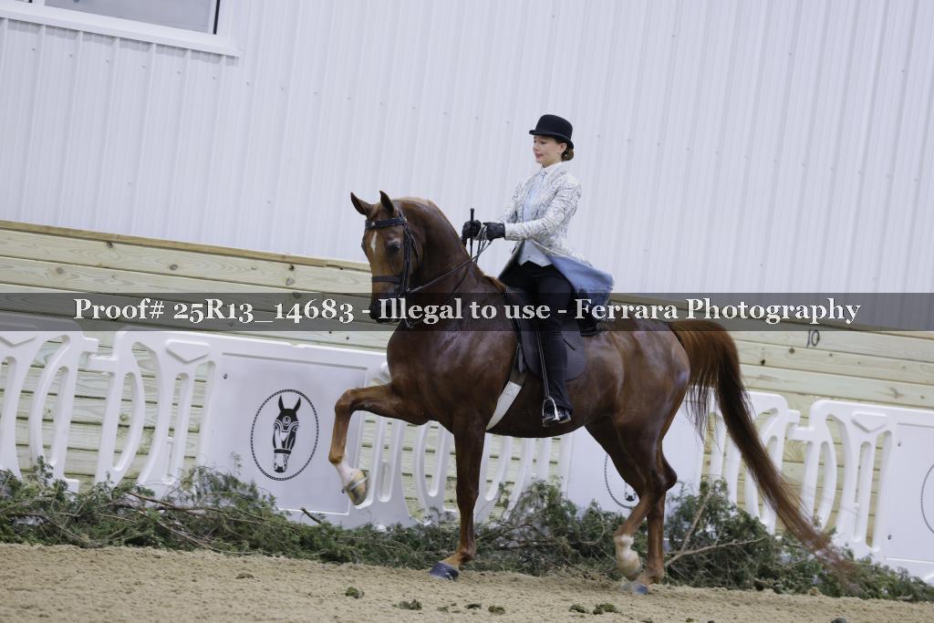 Proof Number 25R13_14683