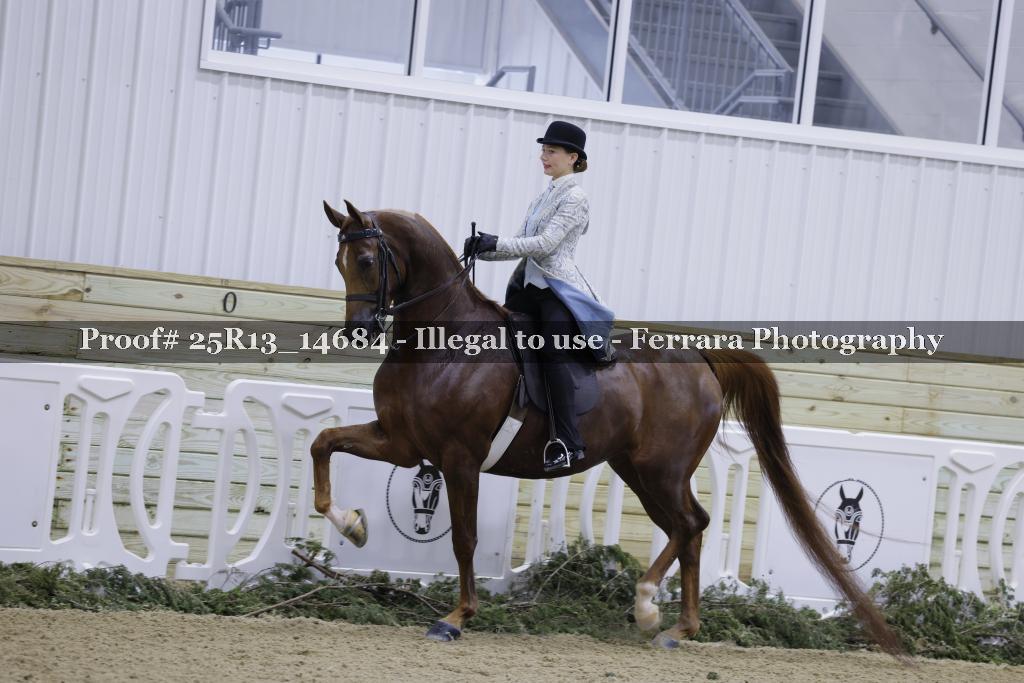 Proof Number 25R13_14684