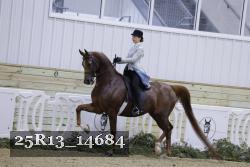 25R13_14684 thumbnail