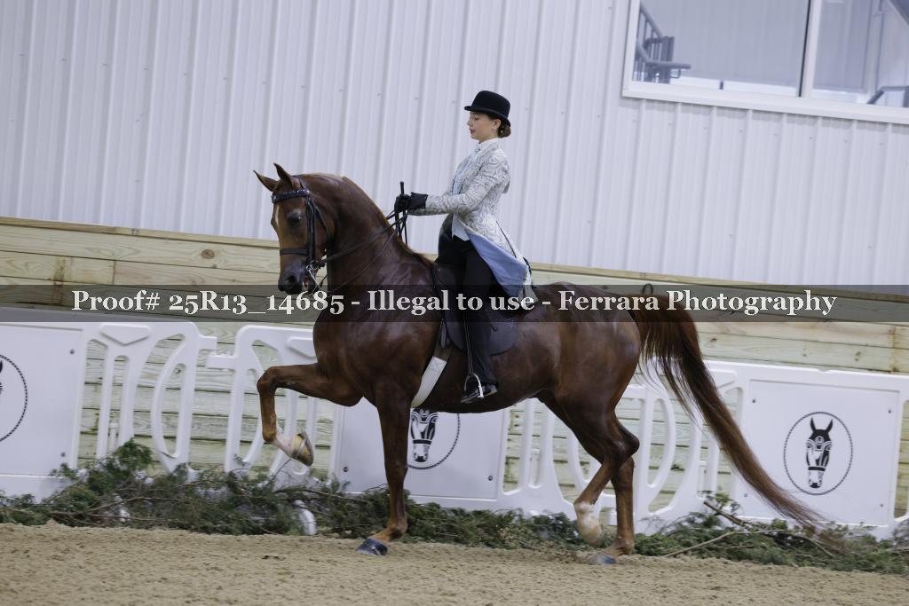 Proof Number 25R13_14685