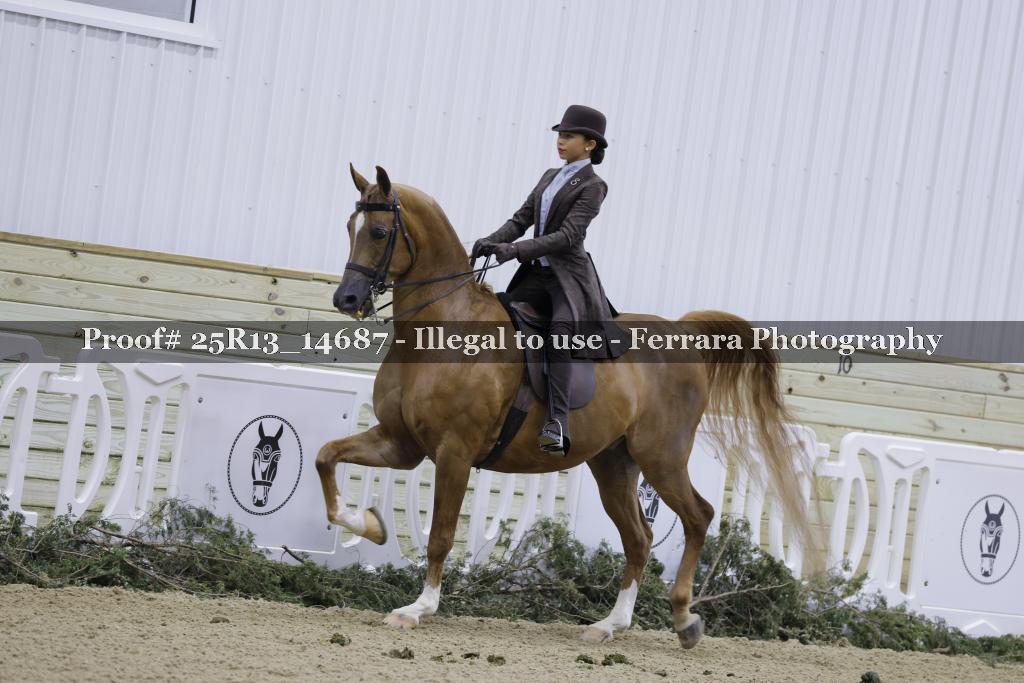 Proof Number 25R13_14687
