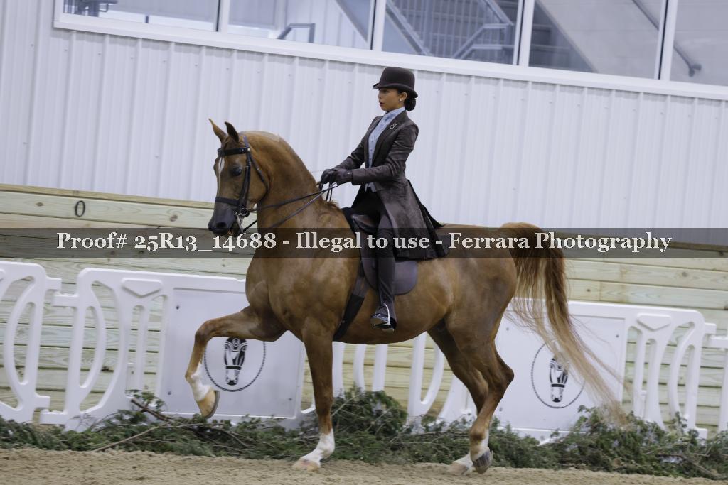 Proof Number 25R13_14688
