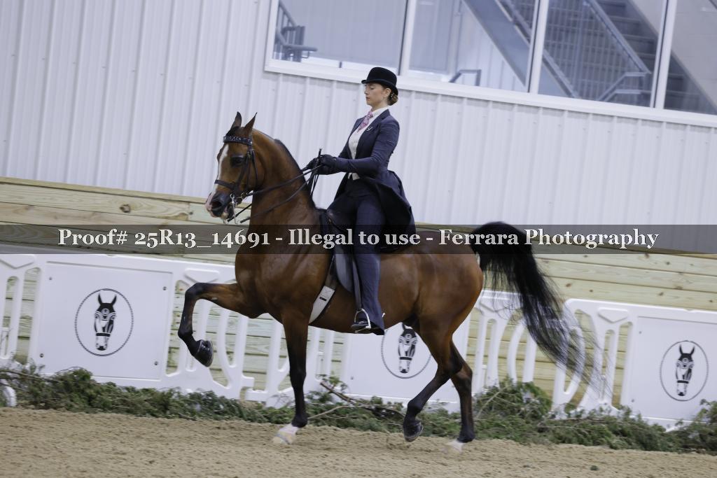 Proof Number 25R13_14691