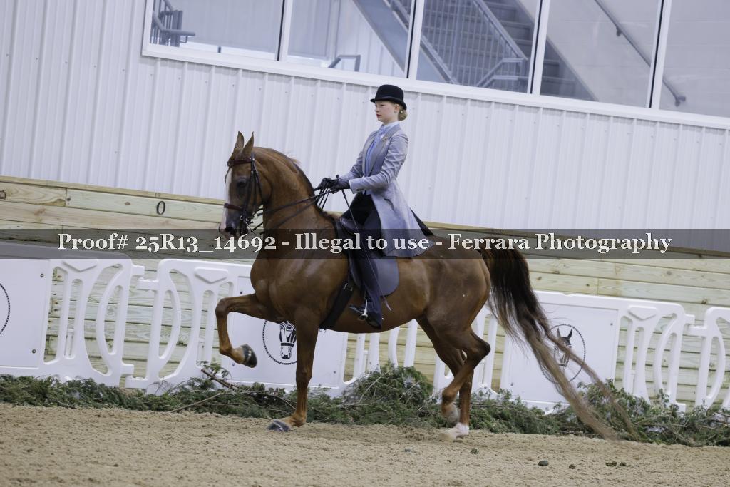 Proof Number 25R13_14692