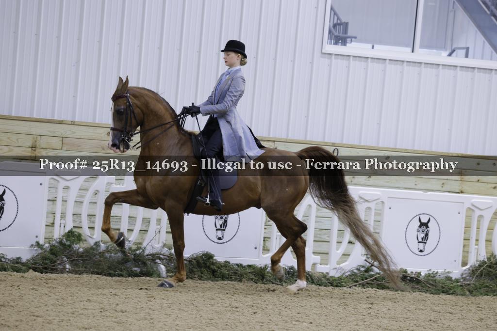 Proof Number 25R13_14693