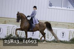 25R13_14693 thumbnail