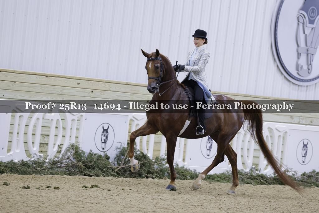 Proof Number 25R13_14694
