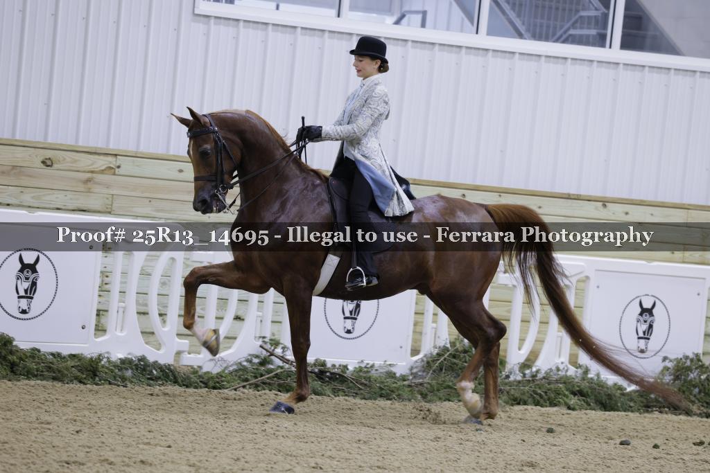 Proof Number 25R13_14695