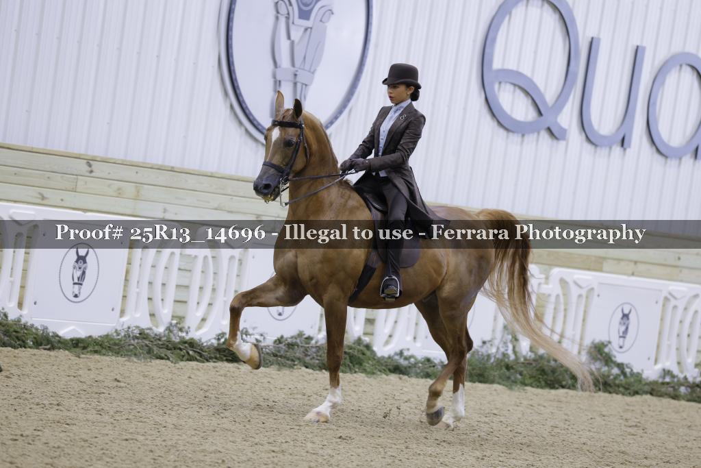 Proof Number 25R13_14696