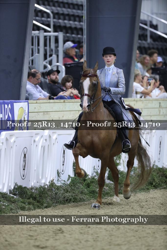 Proof Number 25R13_14710