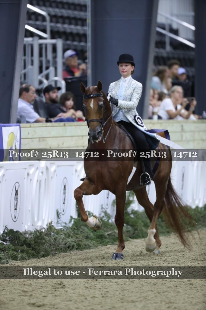 Proof Number 25R13_14712