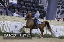 25R13_14721 thumbnail