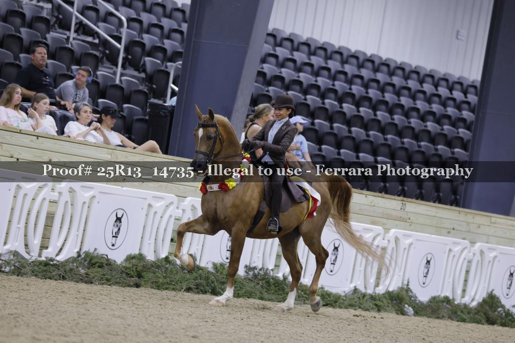 Proof Number 25R13_14735