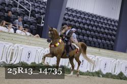25R13_14735 thumbnail
