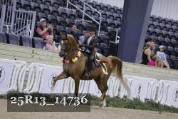 25R13_14736 thumbnail