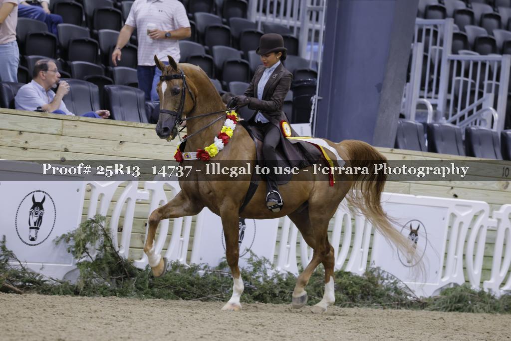 Proof Number 25R13_14737