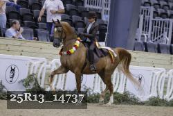 25R13_14737 thumbnail