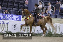 25R13_14738 thumbnail