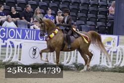 25R13_14739 thumbnail