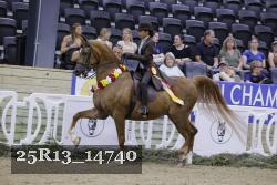25R13_14740 thumbnail