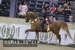 25R13_14741 thumbnail