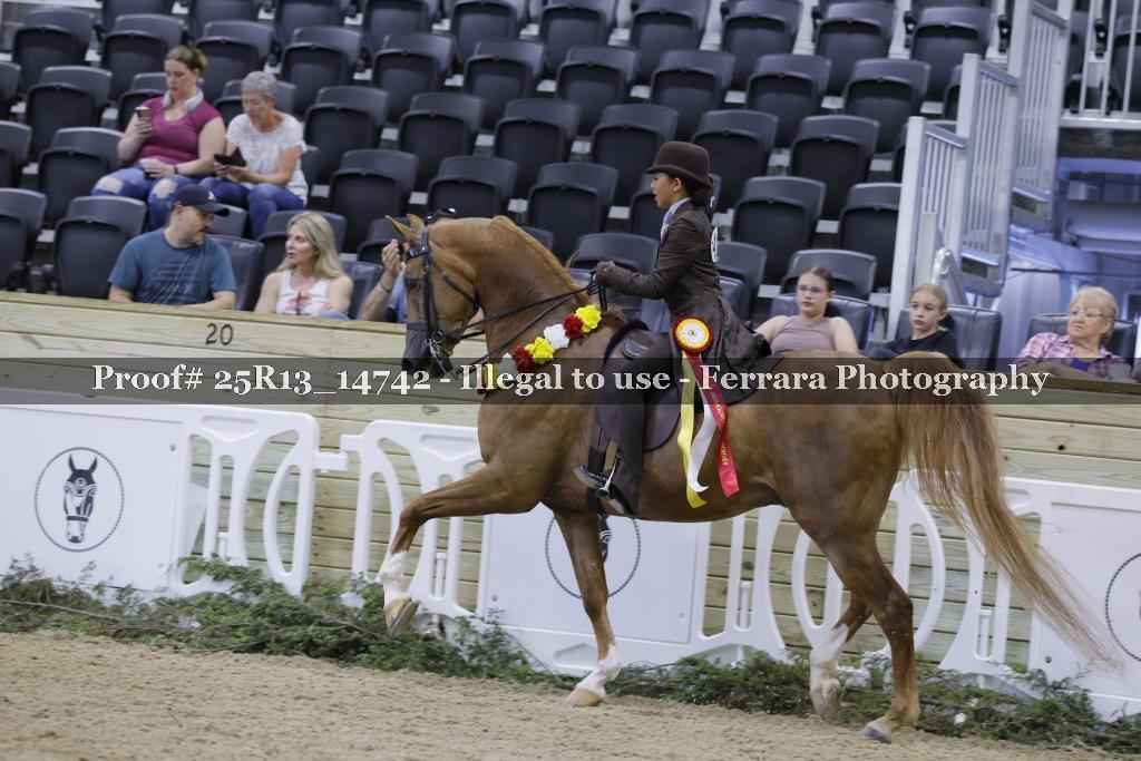 Proof Number 25R13_14742