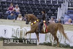 25R13_14742 thumbnail